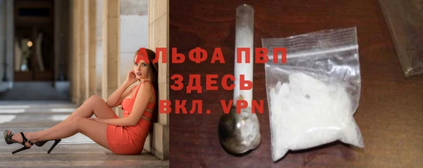 СК Вязьма