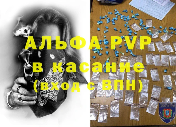 СК Вязьма